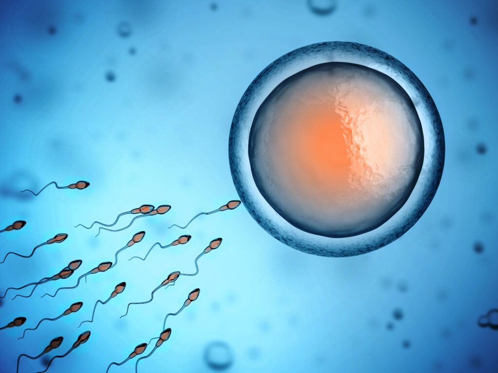 IVF - Dr Sam Sabary